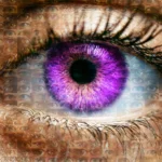 BIG BROTHER IS WATCHING: THE ICONIC EYE GETS A NEW LOOK